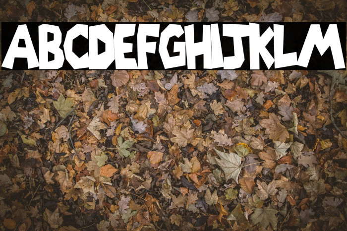 Wilkey Font examples