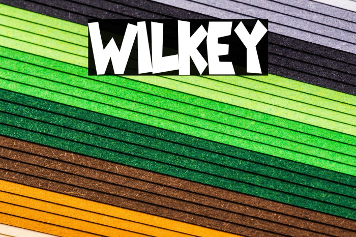 Wilkey Font examples