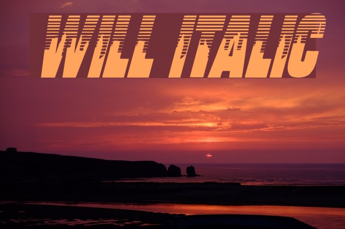 Will Italic Font examples