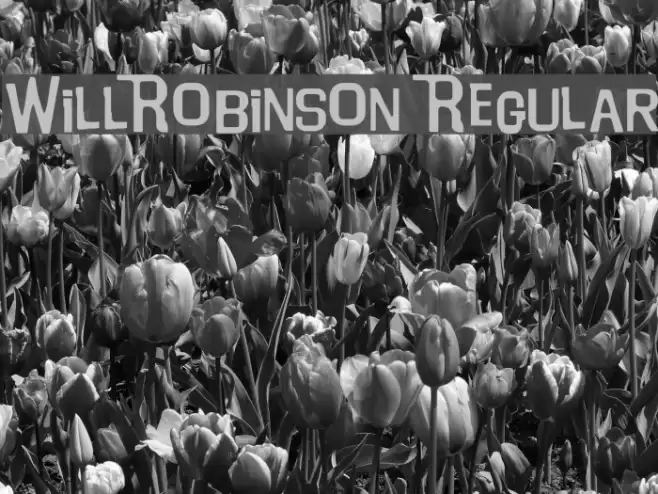 WillRobinson Regular Font examples