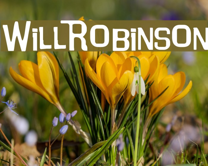 WillRobinson Font examples