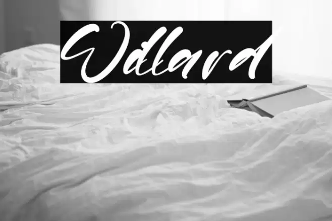 Willard Font examples