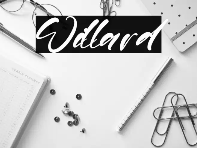 Willard Font examples