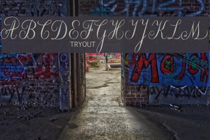 Willegha Tryout Font examples