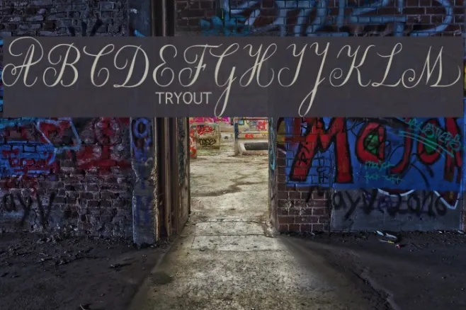 Willegha Tryout Example 1