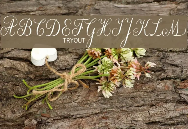 Willegha Tryout Example 2