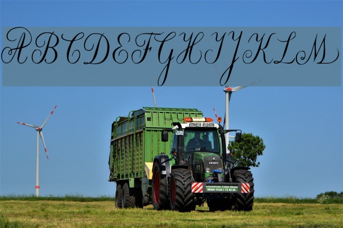 Willegha [Unregistered] Example 3