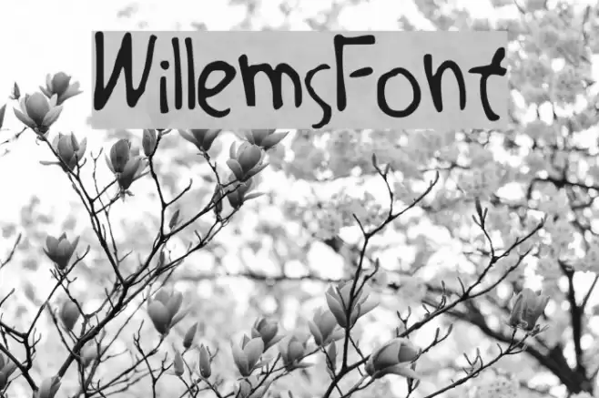 Willems_Font Font examples
