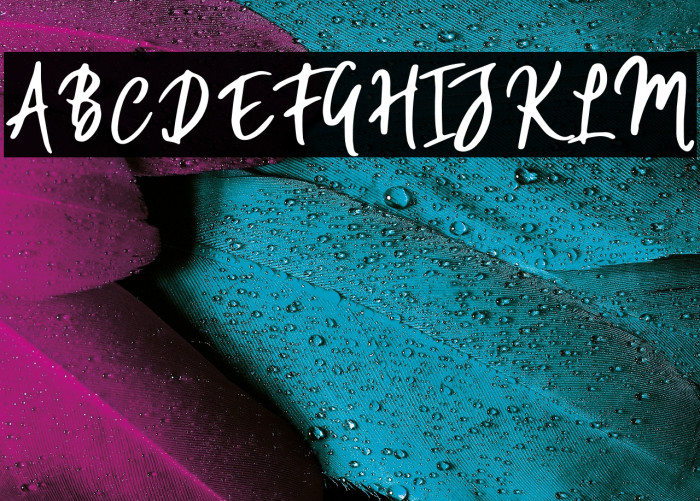 WillfordBrush Example 2