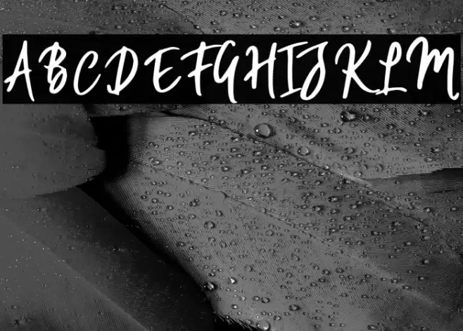 WillfordBrush Font examples