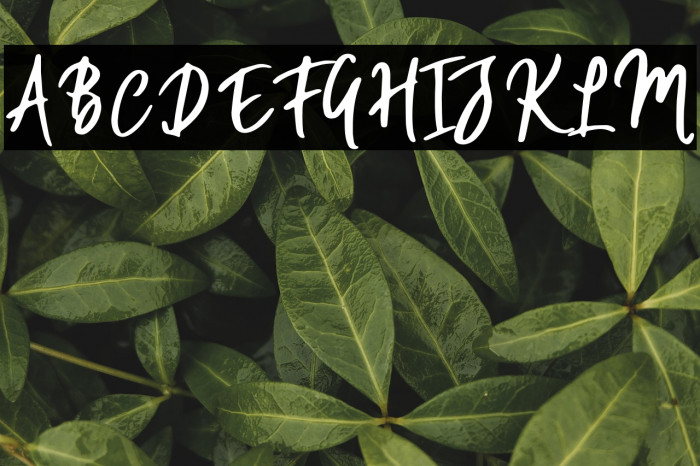 WillfordBrush Example 3