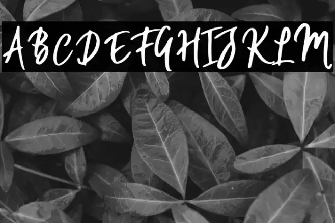 WillfordBrush Font examples