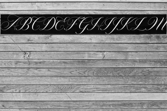 Willgets Font examples