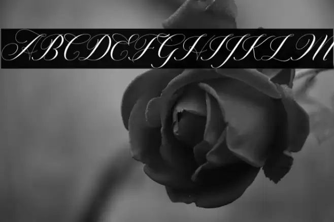 Willgets Font examples