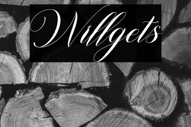 Willgets Font examples