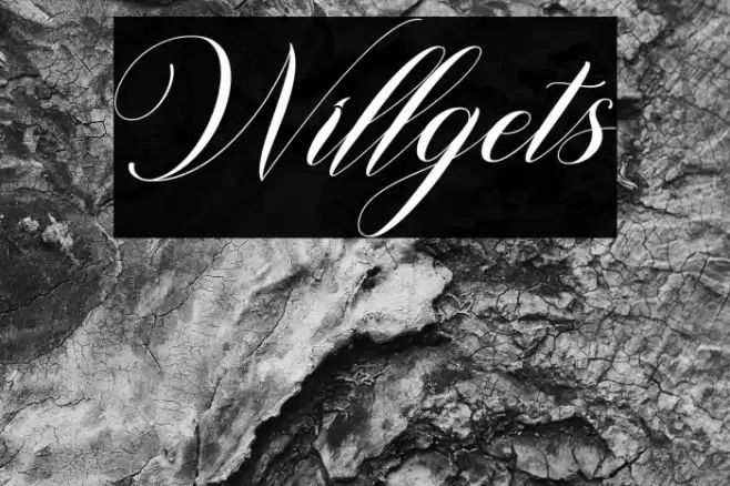 Willgets Font examples