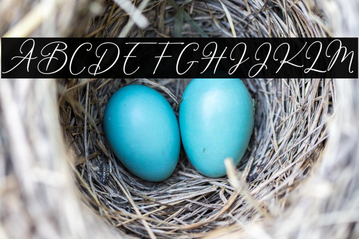 William-Regular Example 1