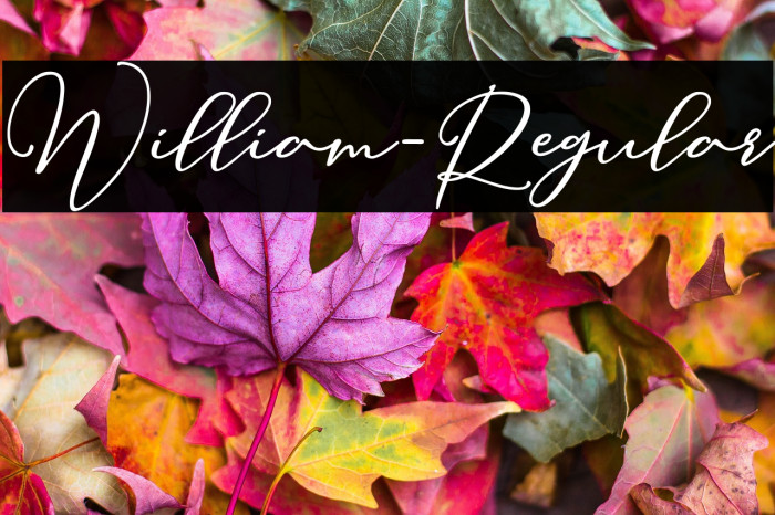 William-Regular Example 2