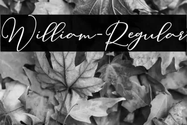 William-Regular Font examples