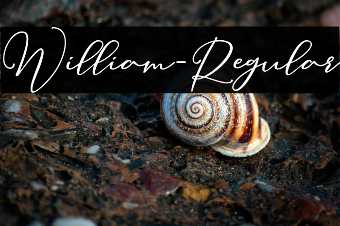 William-Regular Example 3