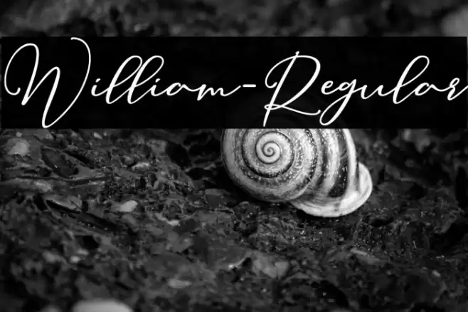 William-Regular Font examples