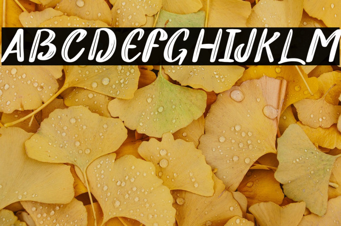 William Slash Example 3