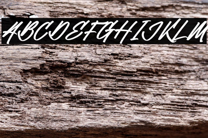 William Victory Italic Example 2