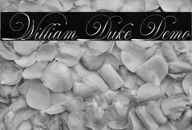 WilliamDukeDemo Font examples