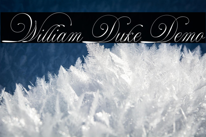 WilliamDukeDemo Example 2