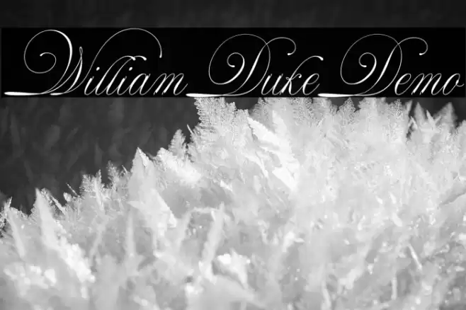 WilliamDukeDemo Font examples
