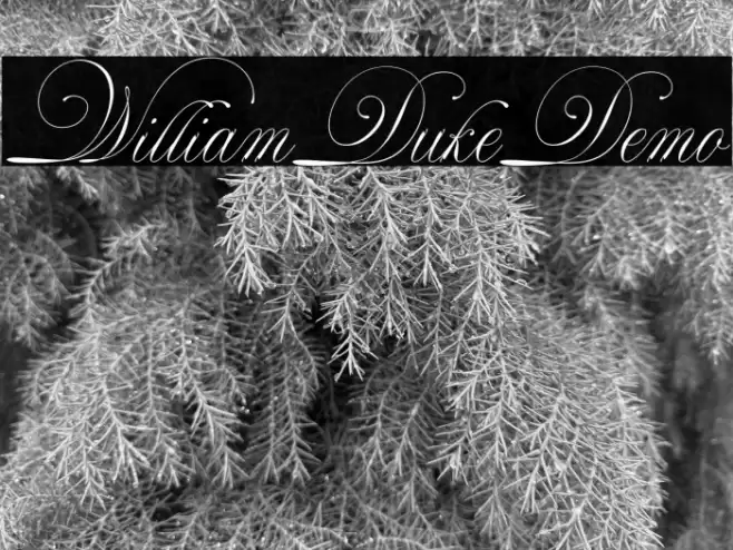 WilliamDukeDemo Font examples