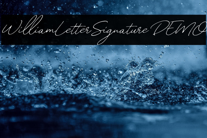 WilliamLetterSignatureDEMO Example 2