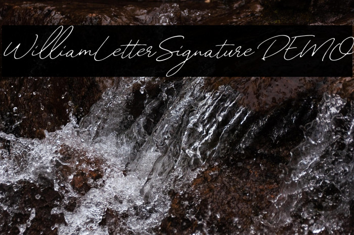 WilliamLetterSignatureDEMO Example 3