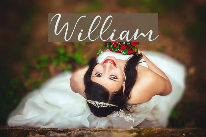 William Font examples
