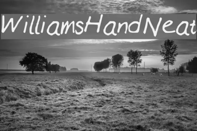 WilliamsHandNeat Font examples