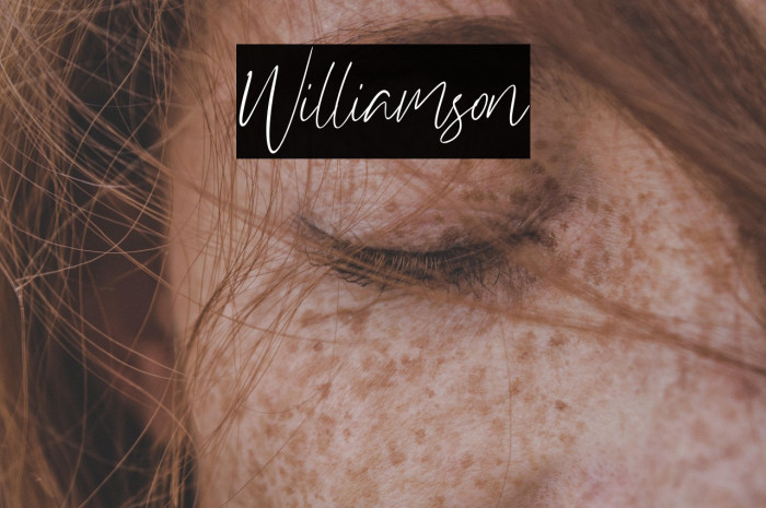 Williamson Example 1