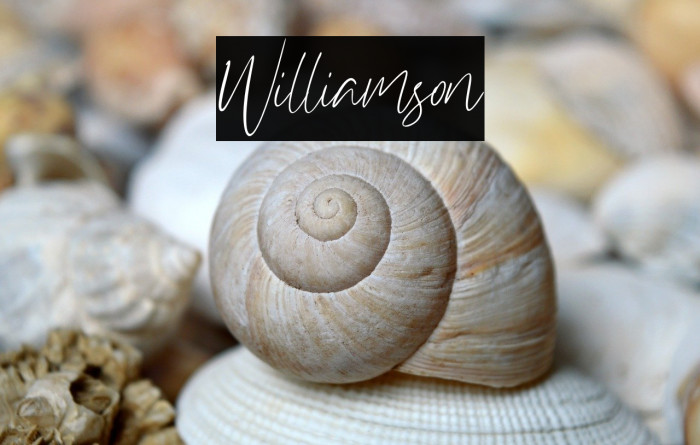 Williamson Example 2