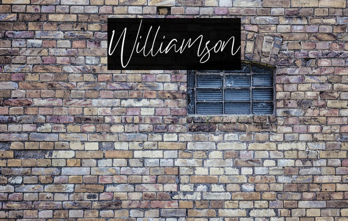 Williamson Example 3