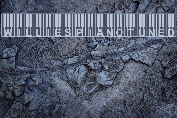 WilliesPianoTuned Example 2