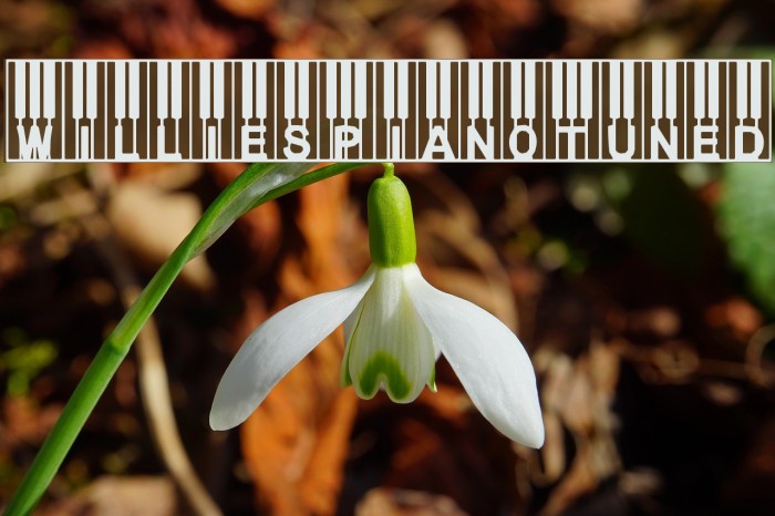 WilliesPianoTuned Example 3