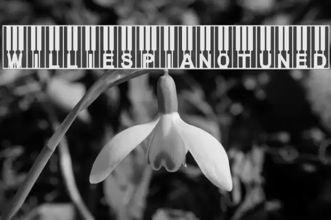 WilliesPianoTuned Font examples