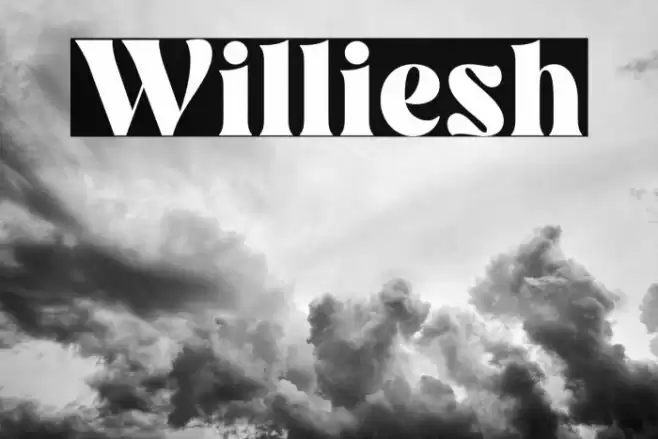 Williesh Font examples