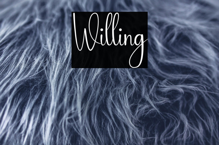 Willing Example 1