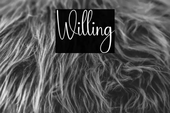 Willing Caratteri examples