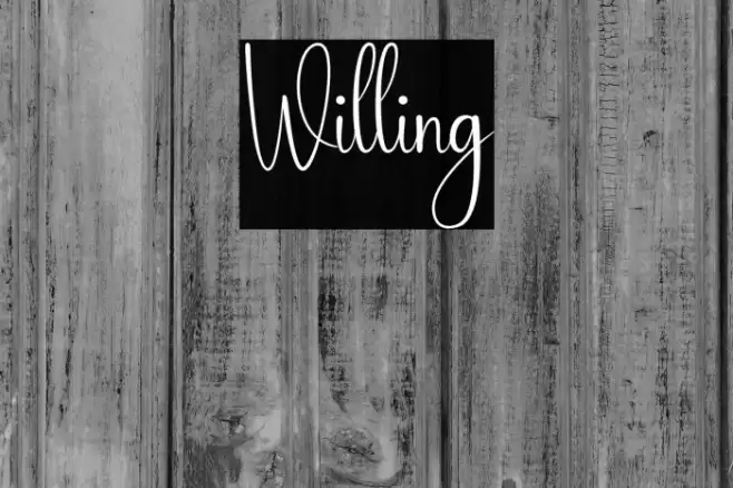 Willing Caratteri examples