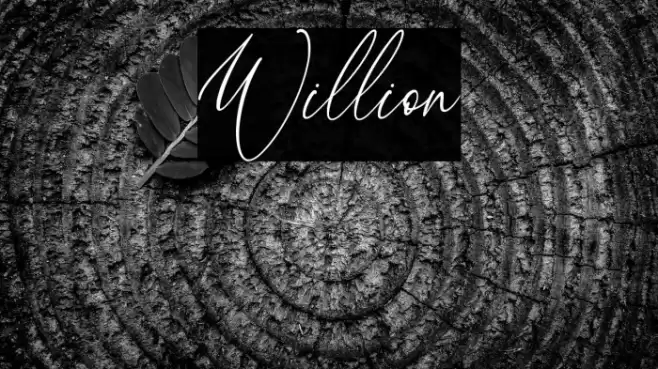 Willion Font examples