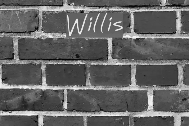 Willis Font examples