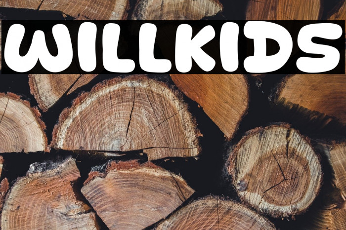 Willkids Example 1