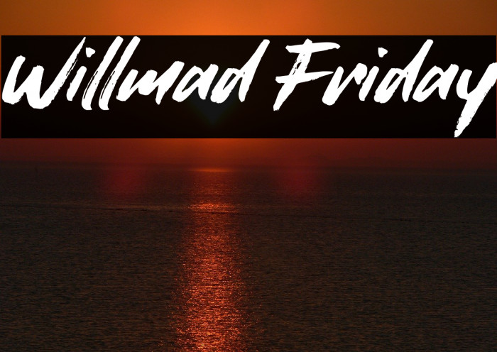Willmad Friday Font examples