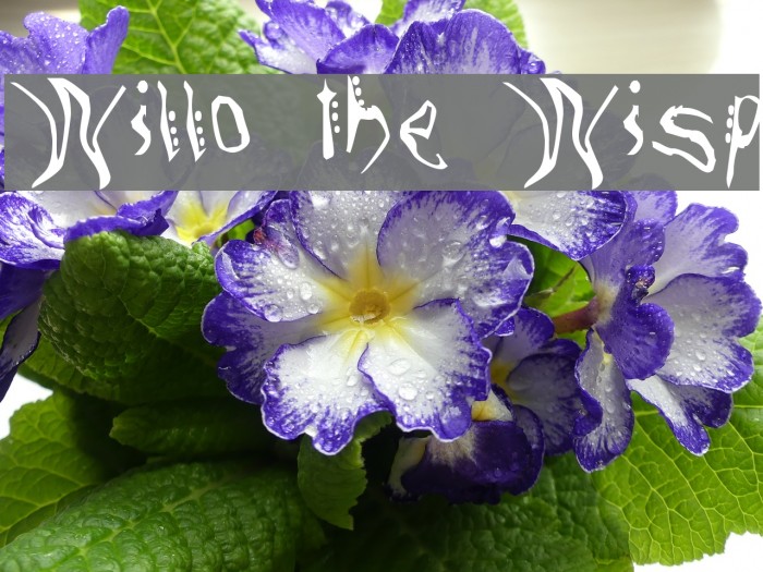 Willo the Wisp Font examples